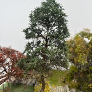 기차 풍경 모형 나무 - 디오라마 및 레이아웃 장식용 미니어처 와이어 장면 나무 - Product Image 5