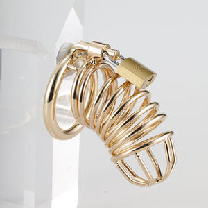 Dispositif de chasteté masculine Sex Toy Penis Cage Cock Lock System Restraint Metal <span class=keywords><strong>Chastity</strong></span> - Product Image 3