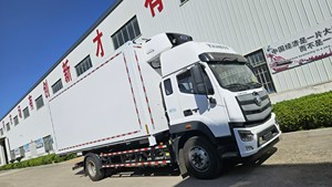 Camionnettes Camion Foton Prix d'usine Tout nouveau Carburant Diesel Transmission manuelle Légumes Viande Transport Euro 6 Norme d'émission Gauche - Product Image 6