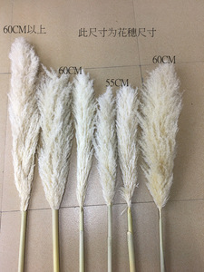 Arco de Boda de Pampas, Cañas Silvestres de Pampas Secas, Hierba de Pampas de Color Natural Larga - Product Image 4