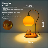 Nouvelle lampe à cire fondue avec corps en métal et abat-jour en verre, lampe de table à commande par interrupteur, livraison directe disponible