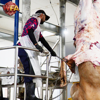 Ligne de traitement du bétail industrielle en acier inoxydable SUS304, haute capacité, pour abattage de bovins, installation lourde pour l'abattage de vaches