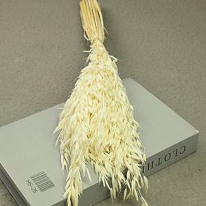 Fleur séchée 40g/<span class=keywords><strong>bouquet</strong></span> d'<span class=keywords><strong>épi</strong></span>s <span class=keywords><strong>de</strong></span> <span class=keywords><strong>blé</strong></span> et d'avoine, fleur éternelle écologique, décoration <span class=keywords><strong>de</strong></span> cadeau d'anniversaire, arrangement floral - Product Image 5