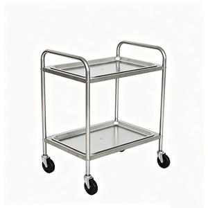 <span class=keywords><strong>Chariot</strong></span> <span class=keywords><strong>médical</strong></span> à <span class=keywords><strong>2</strong></span> niveaux en acier inoxydable 304 de qualité alimentaire, <span class=keywords><strong>chariot</strong></span> de traitement pour instruments hospitaliers avec roulettes silencieuses - Product Image 1