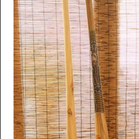 Musical Instrument Didgeridoo for Beginners