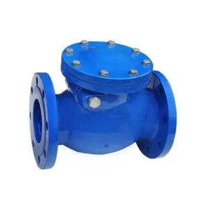 Válvula de Retención de Última Generación, Fabricada en Metal Resistente, Válvula de Retención en Grandes Cantidades en Venta - Product Image 2