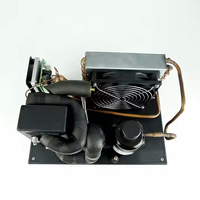 Mini-refroidisseur AC, unité de condensation à tube de cuivre pour réfrigération, refroidisseur de gaz, compresseur, armoires solaires pour crème glacée