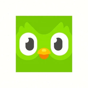 บัญชี Duolingo Pro ระดับพรีเมียม 1 ปี ใช้ได้ทั่วโลก เปิดใช้งานบัญชีของคุณเอง - Product Image 4