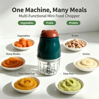 Mixeur Électrique Portable en Verre pour Aliments Bébé, Mini Hachoir à Viande et à Ail à Faible Bruit et Fonctionnement Silencieux pour Usage Domestique