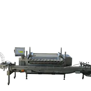 A Complete Set Of Blueberry Automatic Packaging Transportation And Packing Machinery Fruit