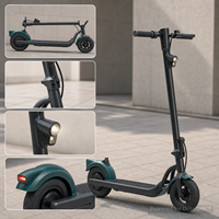 Scooter Eléctrico Plegable N05 de 350W, 10Ah, 10 Pulgadas, para Desplazamientos Urbanos, Venta al Por Mayor