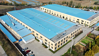 Oferta Especial: Nave Industrial Prefabricada de Acero Ligero con Estructura Portátil para Hangar de Aviones, Taller, Almacén y Soldadura
