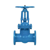 Katup Gerbang Baja Cor ANSI PN16/25/300LB DN50-600 CE WCB Baja Karbon Tipe Flens API 600 Kelas 150 NPT 2/4/6/8 Inci