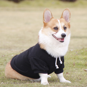 Sweat à capuche pour animaux de compagnie, couleur unie, petite taille, décontracté, pour chien Teacup, Pomeranian, Maltese, vêtements pour chiots, toutes saisons - Product Image 4