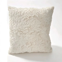 Coussin carré moderne minimaliste en polyester, motif irrégulier 3D, oreiller décoratif pour canapé et décoration de salon, best-seller