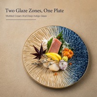 Assiette à sashimi en céramique, plat de service rond, style japonais, glaçure bicolore, plat à sushi avec texture radiale sculptée