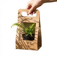 Sacs cadeaux classiques à fenêtre transparente avec poignées en ruban pour bonbons, gâteaux, mariages et fêtes d'anniversaire