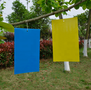 Trampas adhesivas para moscas de frutas, hongos, mosquitos, matamoscas, matamoscas para interiores y exteriores, protegen la planta, trampa pegajosa para plagas - Product Image 6