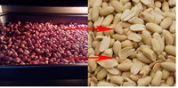 Machine à enlever la peau, pour huscher les grains, les haricots secs, équipement pour enlever les graines, en vente