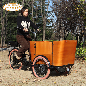 Nouveau tricycle électrique à trois roues à chargement frontal 2026, tricycle pour adultes avec caisse en bois, vélo électrique, <span class=keywords><strong>remorque</strong></span> de transport - Product Image 5