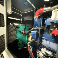 Générateurs silencieux à moteur au gaz naturel de 1 MW, 20 kW, 30 kW, 100 kW, 150 kW, 200 kW, 250 kW, 350 kW, 400 kVA, 500 kW avec Cogeneration (CHP)