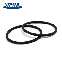 Hochtemperatur-FFKM-O-Ring Perfluorelastomer-Dichtung für Halbleiter-Prozessgeräte und Flüssigkühlsysteme