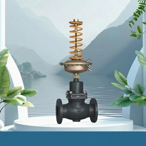 Carp Journey Manual Factory Self-operated Differential Control DN15-DN250 pour Réseau de Conduites de Chauffage Secondaire - Product Image 2