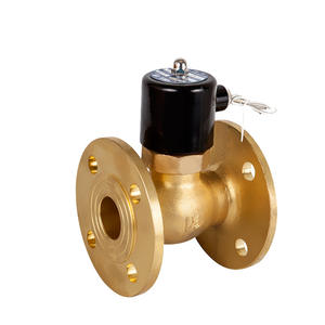 Yuyao Jiayi Ofrece Válvulas Solenoides de Vapor de Alta Temperatura con Brida de Cobre (2L-40F) en Existencia, Calidad Garantizada, Estructura Piloto - Product Image 1