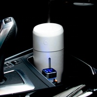 Diffuseur d'arômes ultrasonique en plastique, écologique, rechargeable par USB, portable, pour huiles essentielles, mignon, pour la maison, vente en gros