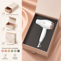 Sèche-cheveux ionique professionnel 2300W avec moteur AC, puissant et silencieux, pour salon, maison, hôtel, design compact