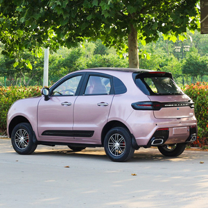 Voiture électrique compacte 4x4 à 5 places, nouvelle énergie, pour adultes, à prix abordable - Product Image 4