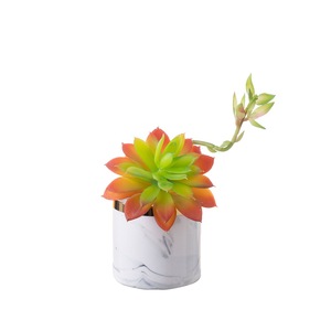 Planta Artificial de Echeveria CallaFloral, Color Rojo Claro, PVC Suave, Decoración para el Hogar, Accesorio para Bodas MW17694 - Product Image 5
