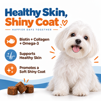 OEM ODM Complément alimentaire pour chiens et chats, sous forme de friandises à mâcher pour la peau et le pelage, à base d'huile de poisson, d'Oméga 3 et de collagène, pour la perte de poils et les démangeaisons cutanées, marque privée