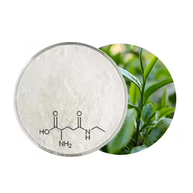 Natural 20% L-Theanine Powder Organic Green Tea Extract L-Theanine Powder Promotes Relaxation and Mental Clarity