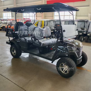 Carrito de Golf de Primera Calidad con Tracción en las Cuatro Ruedas, 4 Plazas, Personalizado de Fábrica en Color Dorado, Compre Ahora, Entrega Rápida, Venta al Por Mayor - Product Image 1