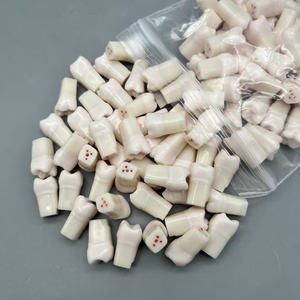 Зубной белый зубной манекен с пластиковой смолой Материал для студентов для практики миелотомии корневого канала - Product Image 5