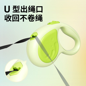 Automatic Retractable Dog Leash 5m Green No Light Small Pet Walking <b>Rope</b> - Product Image 4