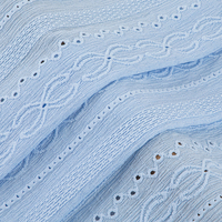 Tissu Jacquard Brodé en Maille Filet Bleu Clair avec Œillets, 99% Polyester 1% Spandex, Tissu Texturé Léger pour Tenues Élégantes