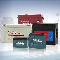 Batterie au plomb-acide rechargeable à décharge profonde Tianneng TNE 12-52, 12V 52Ah, pour véhicules électriques