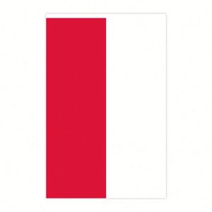 Poland String <b>Flag</b> Polyester Fabric National Country <b>Flag</b> for Birthday Party Festival Decoration - Product Image 2