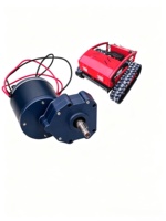 Motor Gear Brushed Magnet Permanen 12V 24V 48V 350W 600W 800W 40rpm dengan Torsi 19.1Nm, Rating IP65, untuk Mesin Pemotong Rumput Remote Control Komersial