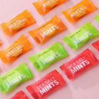 Sugar-Free Mint Hard Candy Fruity Flavor Sea Salt Strong Fresh Breath Firm Compressed Bulk Wholesale Daily Treats