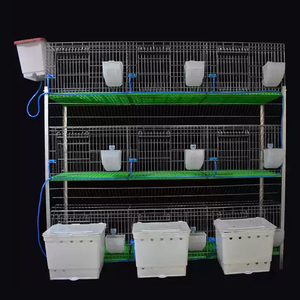 Il produttore fornisce gabbie per conigli, gabbie per l'allevamento di conigli, accessori per gabbie di allevamento di conigli e gabbie secondarie - Product Image 2