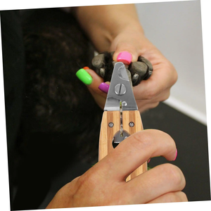 כלב יוקרה ללא מאמץ & חתול clipper הטוב ביותר לחיות מחמד מסמר כלי טיפוח עם נירוסטה & עץ חומר מדריך סוג מספריים - Product Image 5