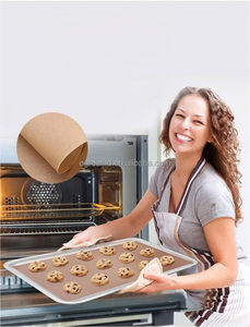 Lámina Antiadherente para Horno, Libre de PFOA, Aprobada por LFGB, Reutilizable, para Accesorios de Barbacoa - Product Image 5