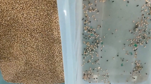 מכונת סורטר צבע עבור קשיו פיסטוקים אגוזי חומוס שעועית שקדים ארקה שקדים ארקה בטל-צילום טכנולוגיית עיבוד שבבי - Product Image 4