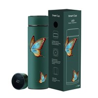 Thermos personnalisé de 500 ml avec affichage de la température LED intelligent, en acier inoxydable, bouteille d'eau isolée sous vide, cadeaux d'affaires, logo