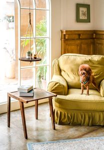 Étagère <span class=keywords><strong>suspendue</strong></span> pour plantes Offre Spéciale ronde <span class=keywords><strong>corde</strong></span> en bois <span class=keywords><strong>suspendue</strong></span> étagère flottante Vintage décor à la maison affichage jardinière support - Product Image 4