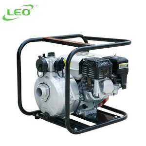 LEO LGP20-G Home Portable 2 Inch High Pressure Gasoline Mini Water Pump