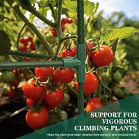 50 pouces de haut réglable tour en acier robuste treillis de concombre plantes grimpantes support de plante de tomate piquets Cages à tomates